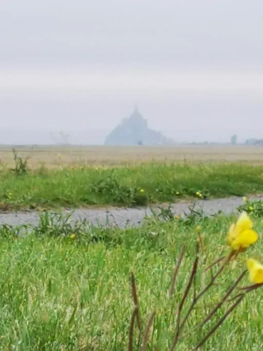 Appartement Baie Du Mont St Michel Roz-sur-Couesnon